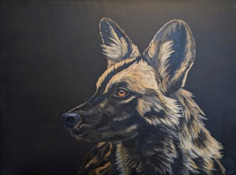 Afrikansk vildhund, Akryl på lærred, 60×80 cm